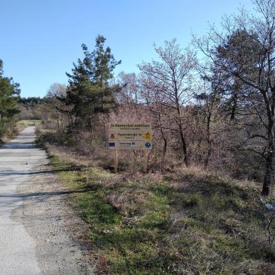 Lefikimi Kapsalo 12